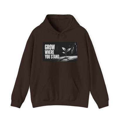 Grow Where You Stand - Hoodie