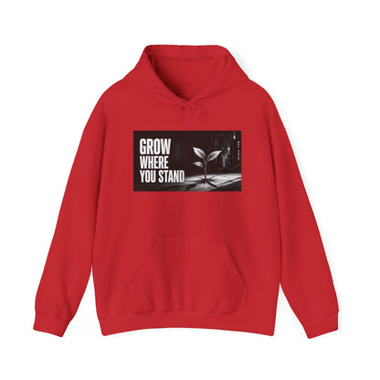 Grow Where You Stand - Hoodie