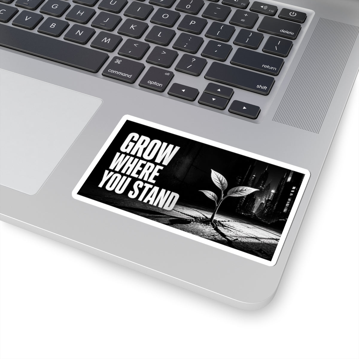 Grow Where You Stand - Sticker